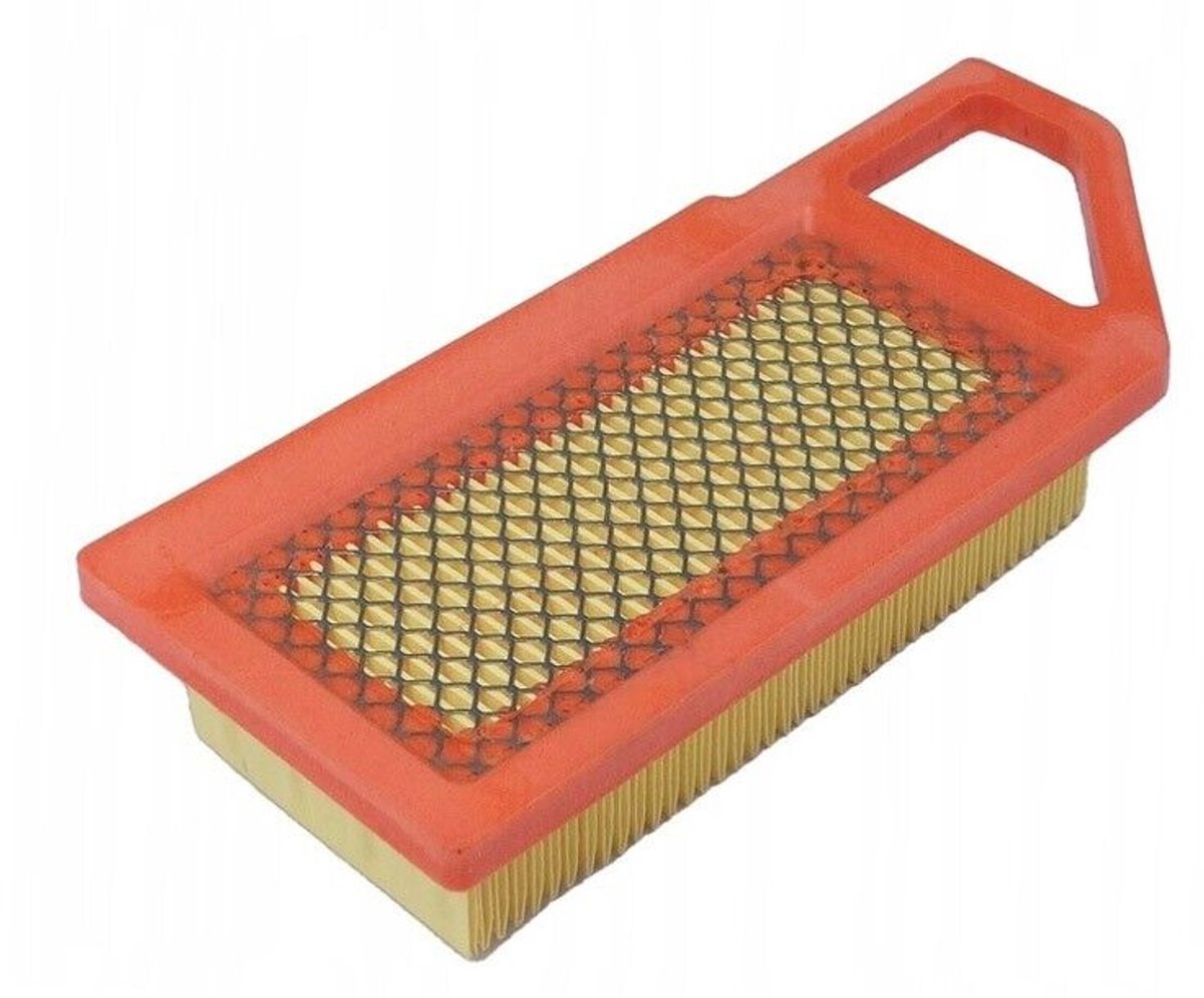 luchtfilter voor Alpina, Castel Garden, Mountfield en Stiga / 118550321/0 1134-9163-01