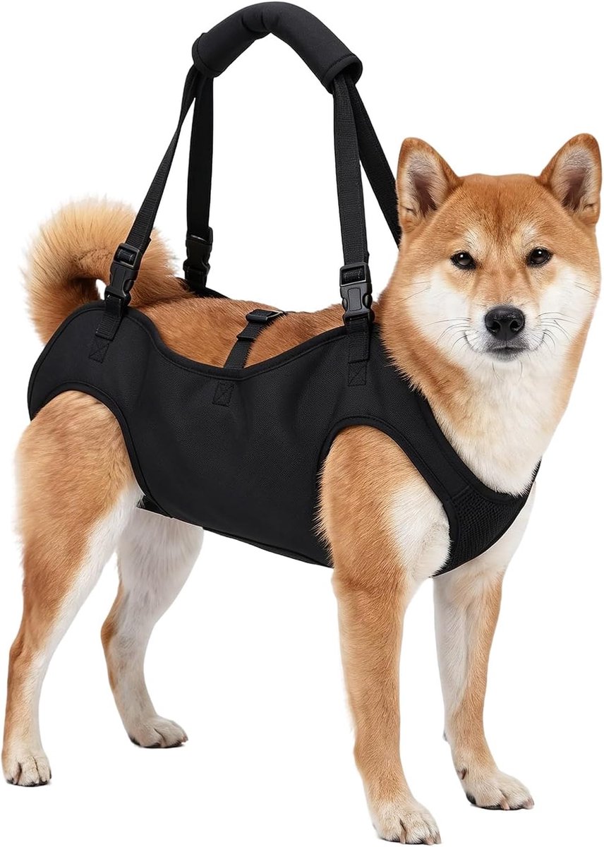 Trekharnas voor honden, verstelbaar, draaghulp, hond, zeer elastisch, ademend, zachte grip, zwart, hondentuig met - ShopVlot