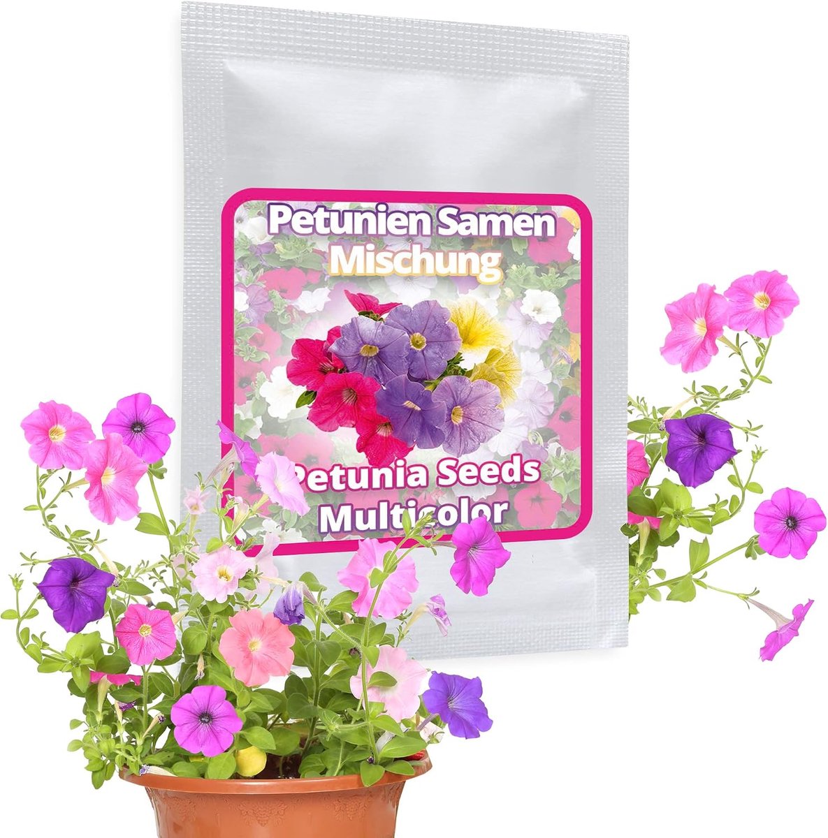 Petunia Seeds approx. 250 pieces - a mix of different petunia flowers for balcony and garden - ShopVlot