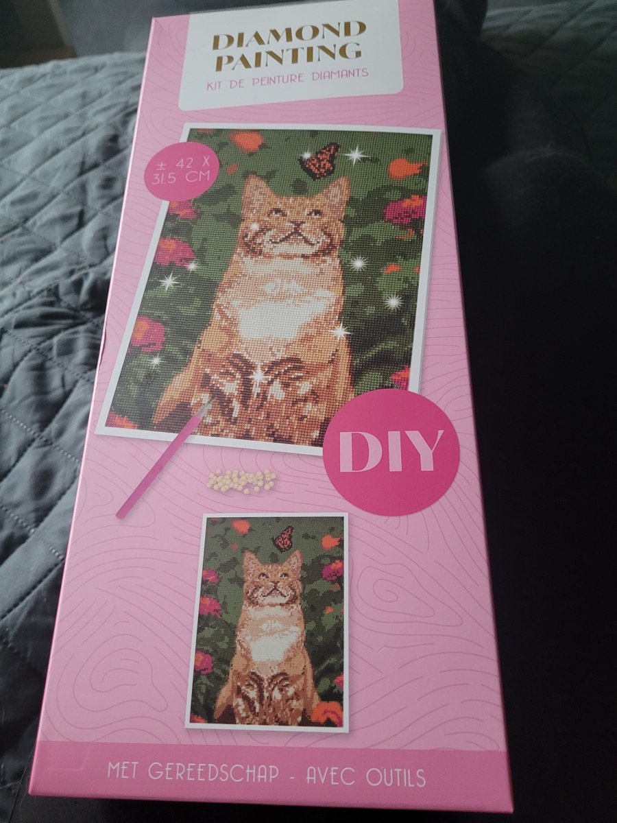 Diamond painting- Rode kat