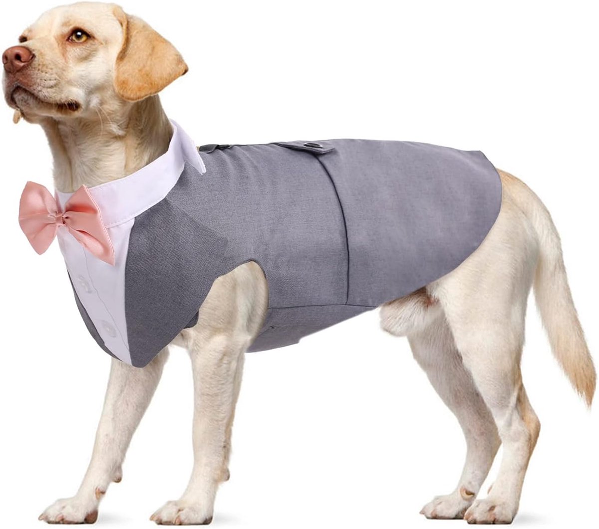 Hondenshirt Puppy Hondenkleding Mode Pak Smoking Vlinderhemd met Stropdas Hond Bruiloft Vlinderdas Pak voor Bruiloftsfeest Halloween Kerstmis Festival Partij(Grijs, XL)
