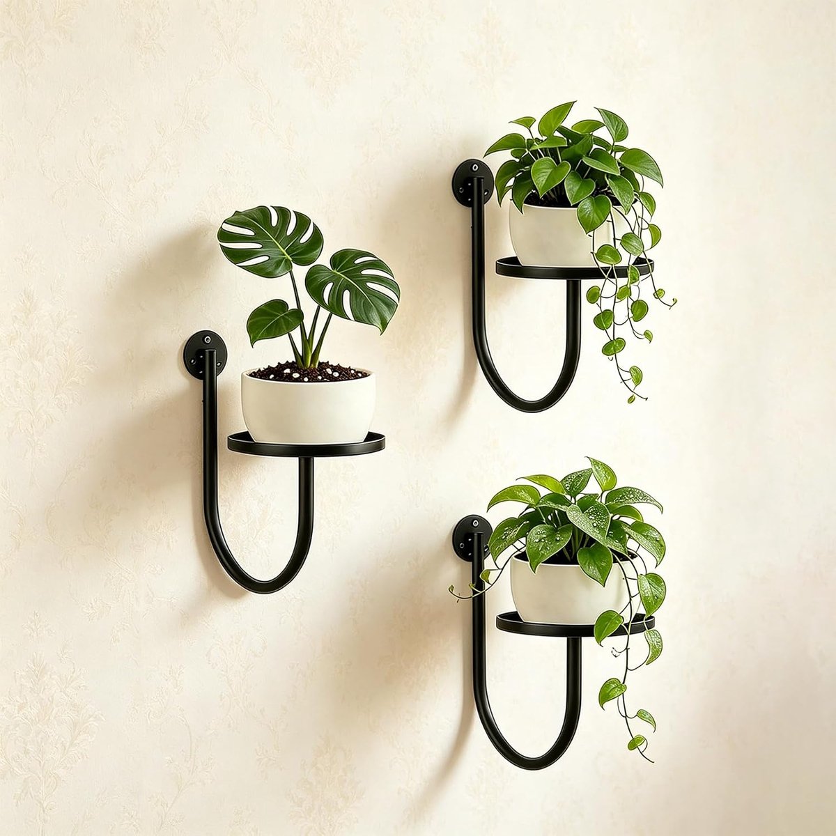 Set van 3 Plantenhouder Wand, Zwarte Metalen Wandbloempot & Plantenrek Wand, Plantenhanger Binnen voor Raam & Woonkamer, Muurdecoratie Planten, Bloempot Wand