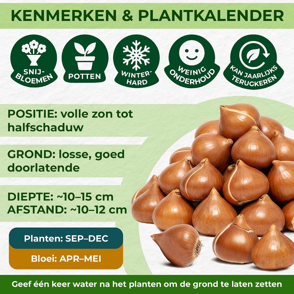 Bulbs Tulpen bollen Double Bloom Collection (25 stuks)