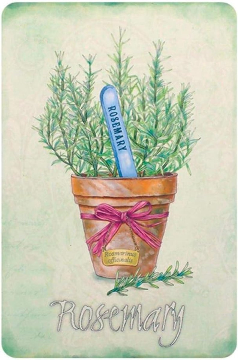 Bord Vintage Verse Kruiden Metalen Plaat Retro Ijzer Schilderij Mooie Bloemen En Groene Planten Woondecoratie Voor Kit 20x30cm 7