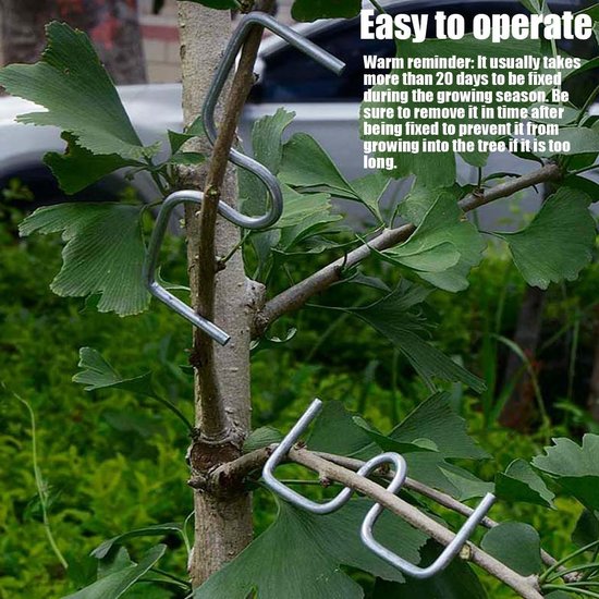 30 Stuks Herbruikbare Takkenvormers voor Fruitbomen - Takken Spreiden en Bouwen van Sterke Takken voor Optimale Groei — afbeelding 4