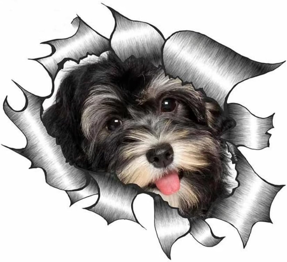 Hondensticker, 3D-gescheurd metaaleffect, reflecterend, waterdicht, grappige Havanese sticker voor laptop, auto, koelkast (18 cm)
