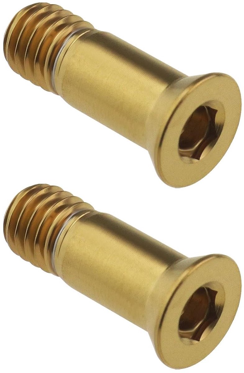 Dailygoods- Bevestigingsschroeven Titaniumlegering - 2 Stuks - M5 x 14,2 mm - Achterderailleur - Lichtgewicht - Waterdicht - Lange levensduur - Fietss
