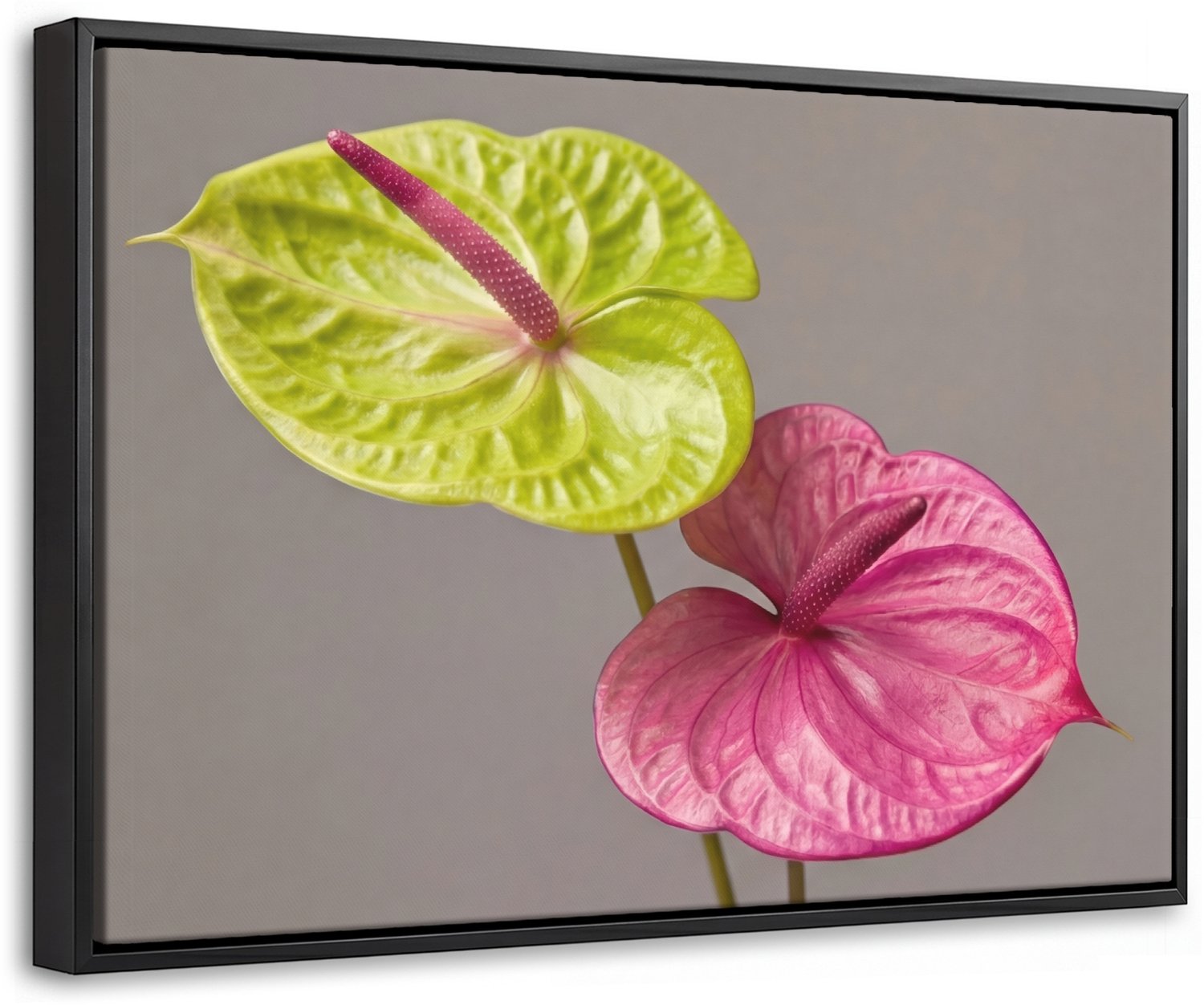 Canvas Schilderij met Baklijst 60x40cm - Planten - Anthurium - Groen - Roze - Muurdecoratie woonkamer - Slaapkamer decoratie - Kamer accessoires - Schilderijen op canvas met lijst
