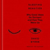 Rode boekomslag met titel Sleeping Beauties, een gesloten oog, een open oog en de auteur David Byrne.