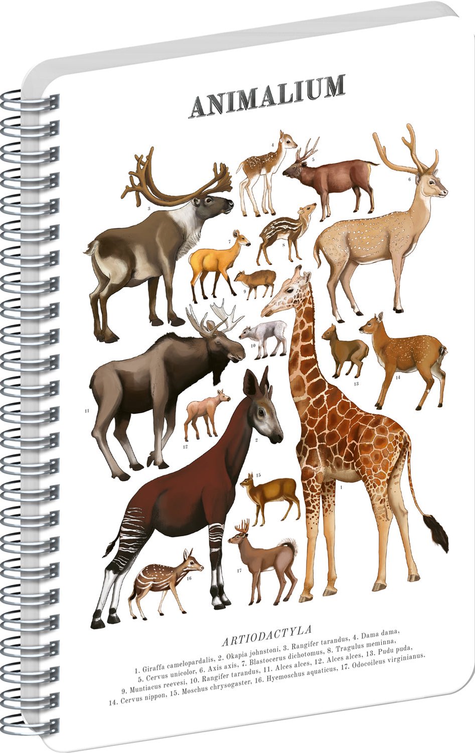 Animalium – Artiodactyls Spiraal Notitieboek A4 Blanco