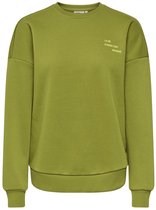 ONLY - ONLZENJA BOXY L/S BOX PRI CS SWT Dames Trui