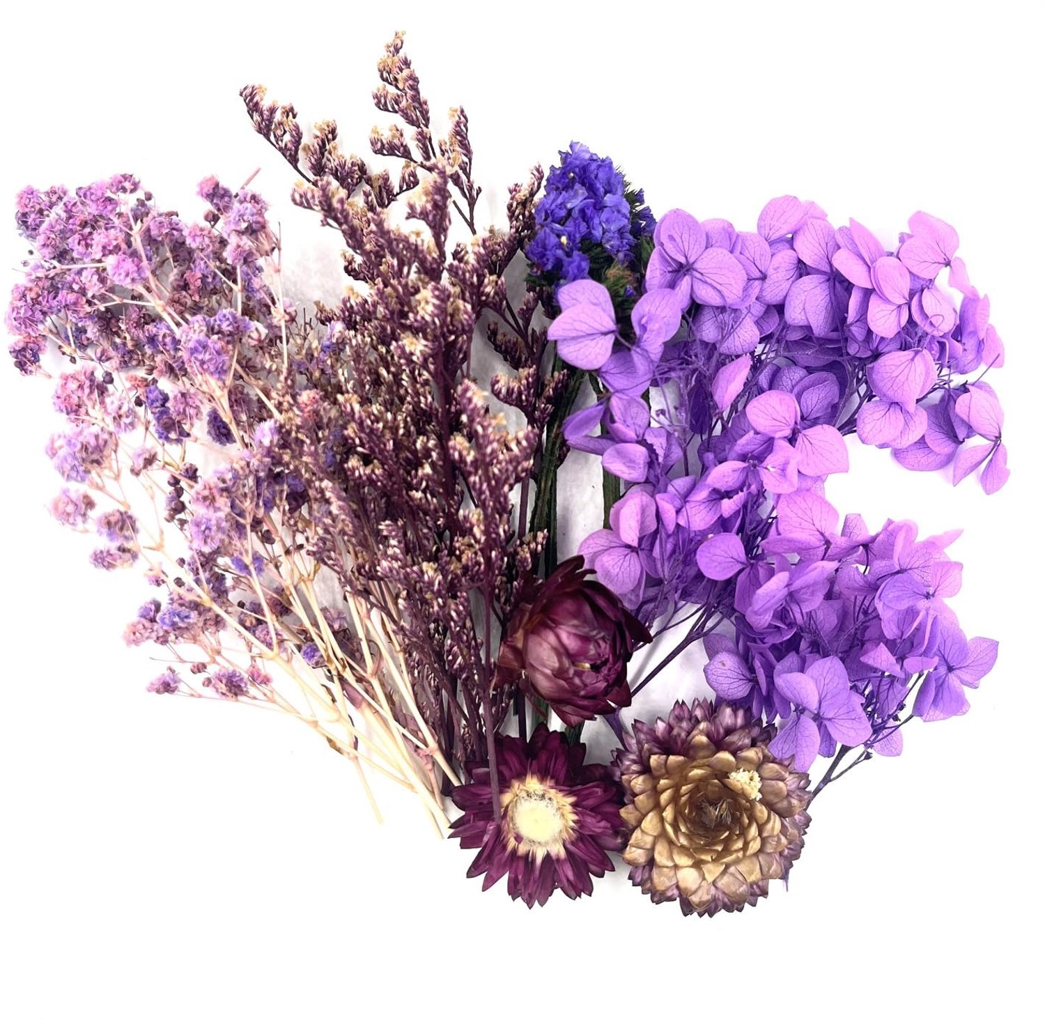 Famanu Kleine gedroogde bloemen set voor knutselen, epoxy en scrapbooking