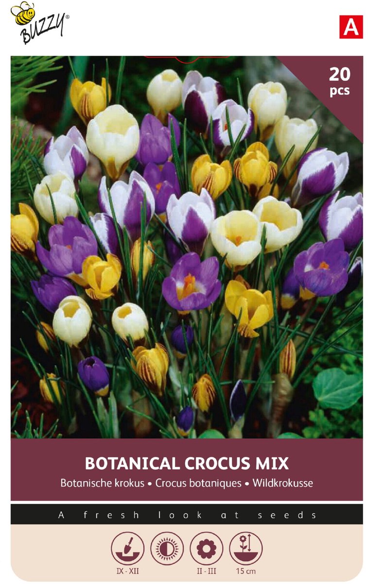 Buzzy Bloembollen Crocus Botanical mix 20st