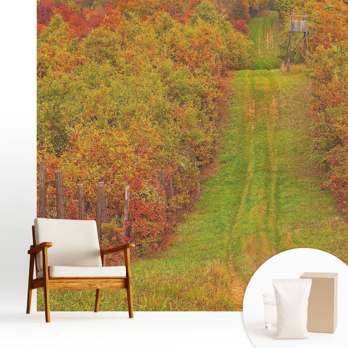 Wallfluent Fotobehang - Groente Vliesbehang - 250x250 cm - Herfstkleuren Fotobehang Vlies - Woonkamer behang Landschappen - Muurschildering - Hal behang