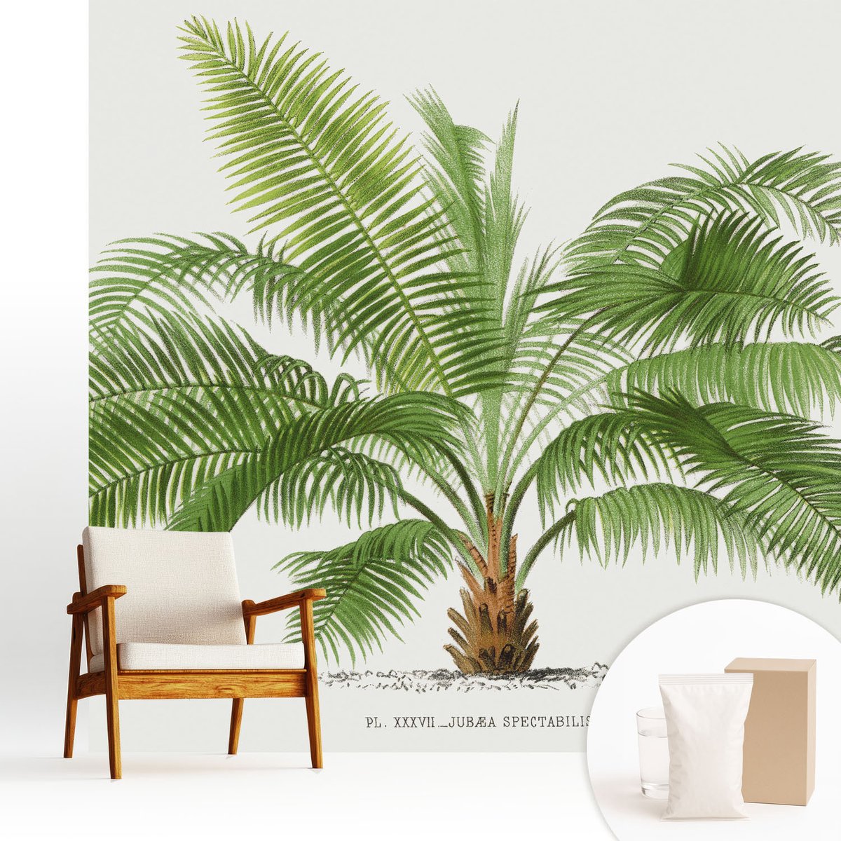 Wallfluent Fotobehang - Groente Vliesbehang - 250x250 cm - Glanzende Palmboom Fotobehang Vlies - Hal behang Bloemen En Planten - Muurschildering - Hal behang