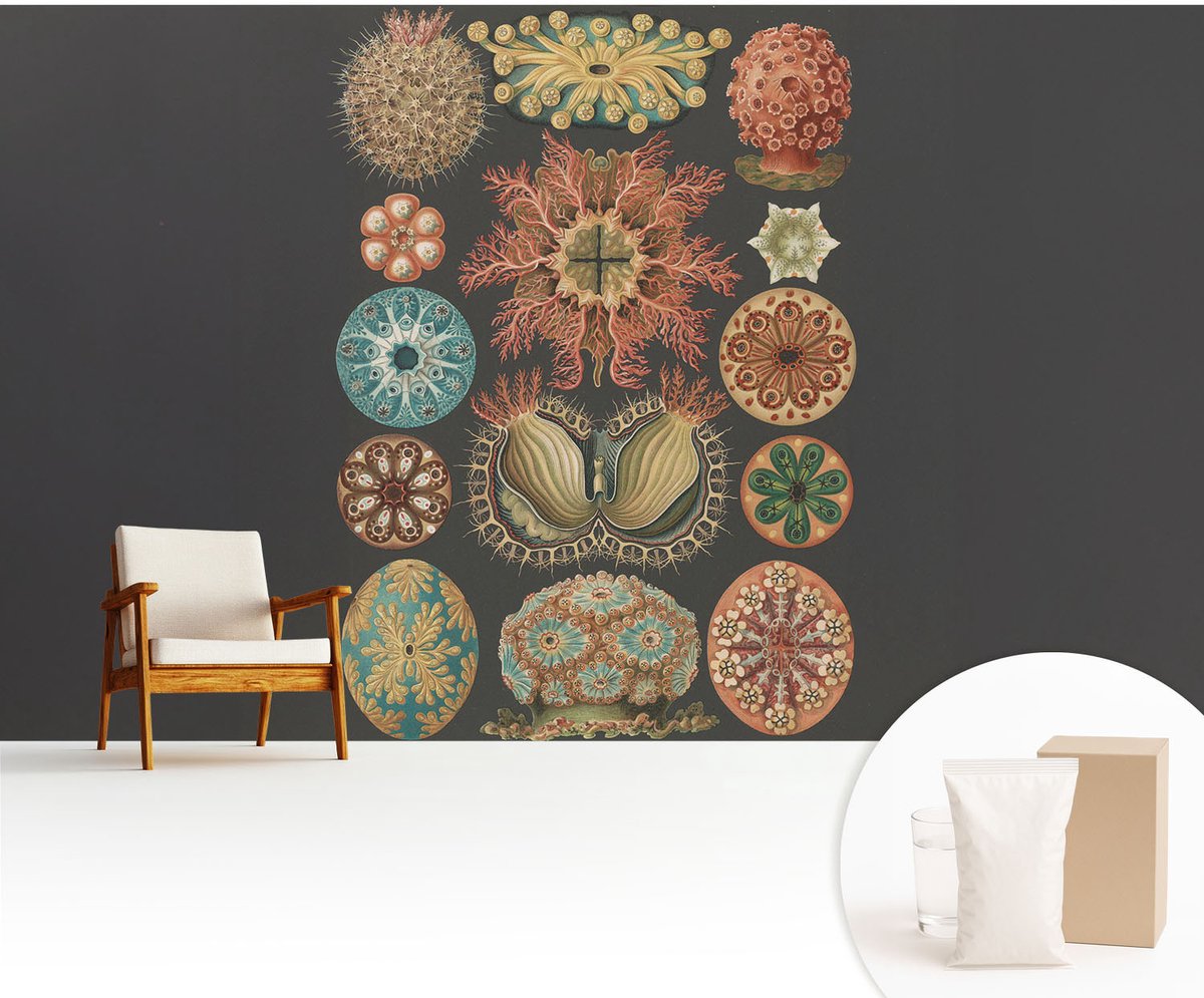 Wallfluent Fotobehang - Zwart Vliesbehang - 416x254 cm - Inspiratie Uit De Zee Fotobehang Vlies - Woonkamer behang Deel - Muurschildering - Woonkamer behang