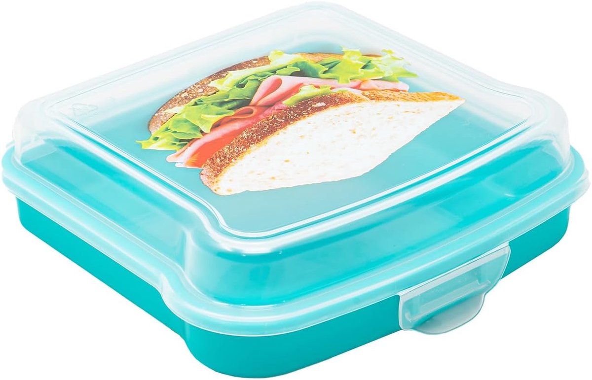 Lunchsandwich-boxen | Broodtrommels voor pauze | 1 willekeurige kleur