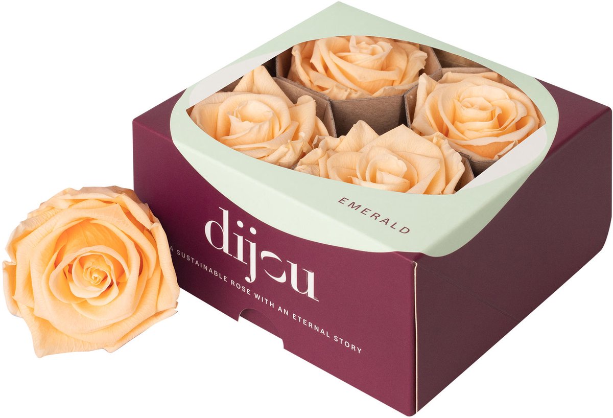 4x Rose preserved dc peach 2015c