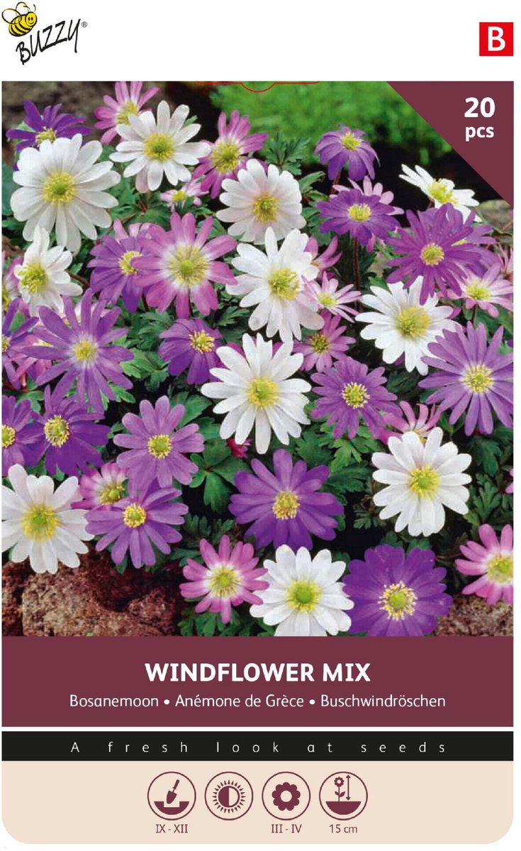 Buzzy Bloembollen Bosanemoon gemengd (Anemone blanda) 20st