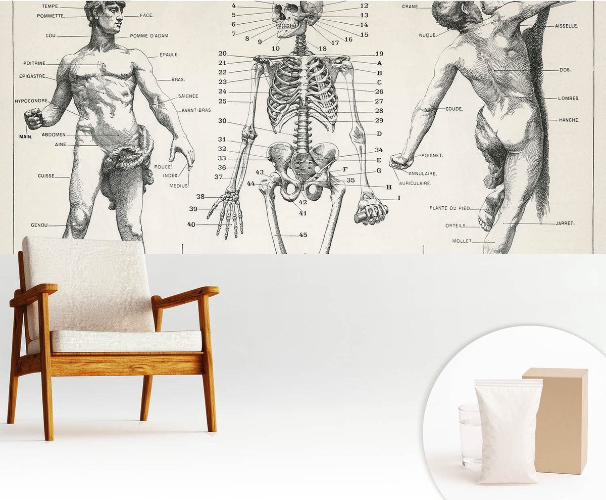 Wallfluent Fotobehang - Zwart Vliesbehang - 250x104 cm - Klassieke Anatomie Fotobehang Vlies - Hal behang Anatomie - Muurschildering - Woonkamer behang
