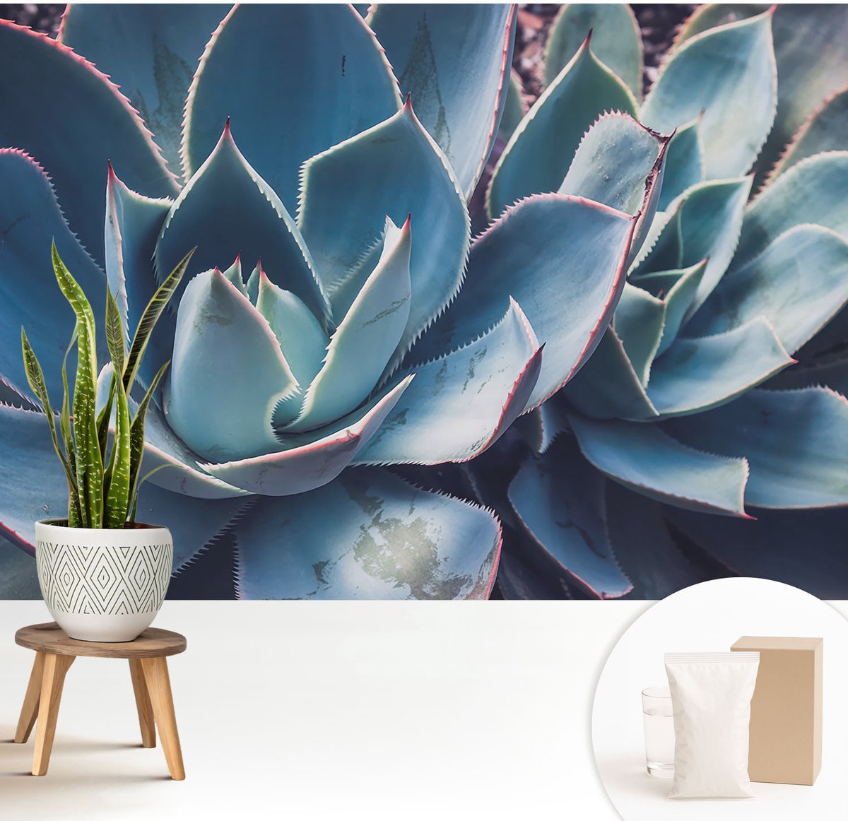 Wallfluent Fotobehang - Blauw Vliesbehang - 208x146 cm - Groene Aloë Muurschildering - Slaapkamer behang Bloemen En Planten - Fotobehang Vlies - Slaapkamer behang