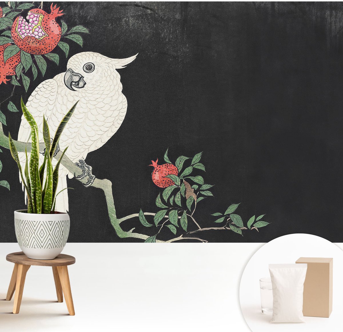 Wallfluent Fotobehang - Zwart Vliesbehang - 208x146 cm - Granaatappelpapegaai Muurschildering - Gang behang Dieren - Fotobehang Vlies - Slaapkamer behang