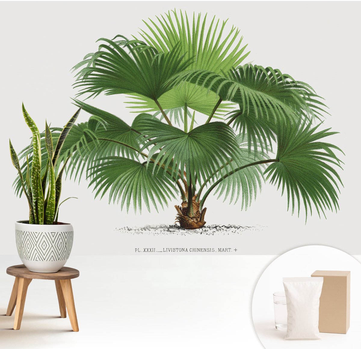 Wallfluent Fotobehang - Groente Vliesbehang - 208x146 cm - Exotische Palmboom Fotobehang Vlies - Hal behang Bloemen En Planten - Muurschildering - Woonkamer behang