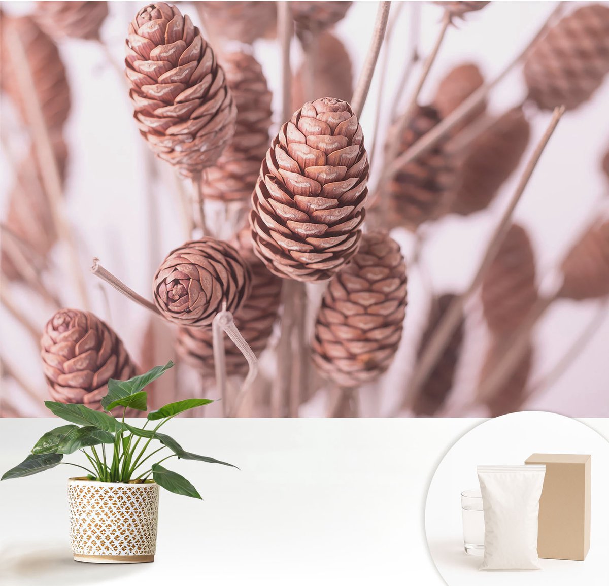 Wallfluent Fotobehang - Bruin Vliesbehang - 152x104 cm - Natuurlijke Elegantie Fotobehang Vlies - Hal behang Bloemen En Planten - Muurschildering - Hal behang
