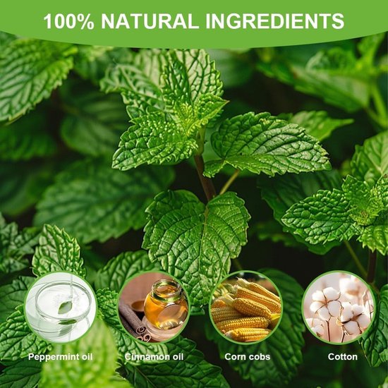 Close-up van verse muntblaadjes met vier cirkelvormige afbeeldingen van ingrediënten: pepermuntolie, kaneelolie, maïskorrels en katoen. De tekst zegt: '100% NATURAL INGREDIENTS'.