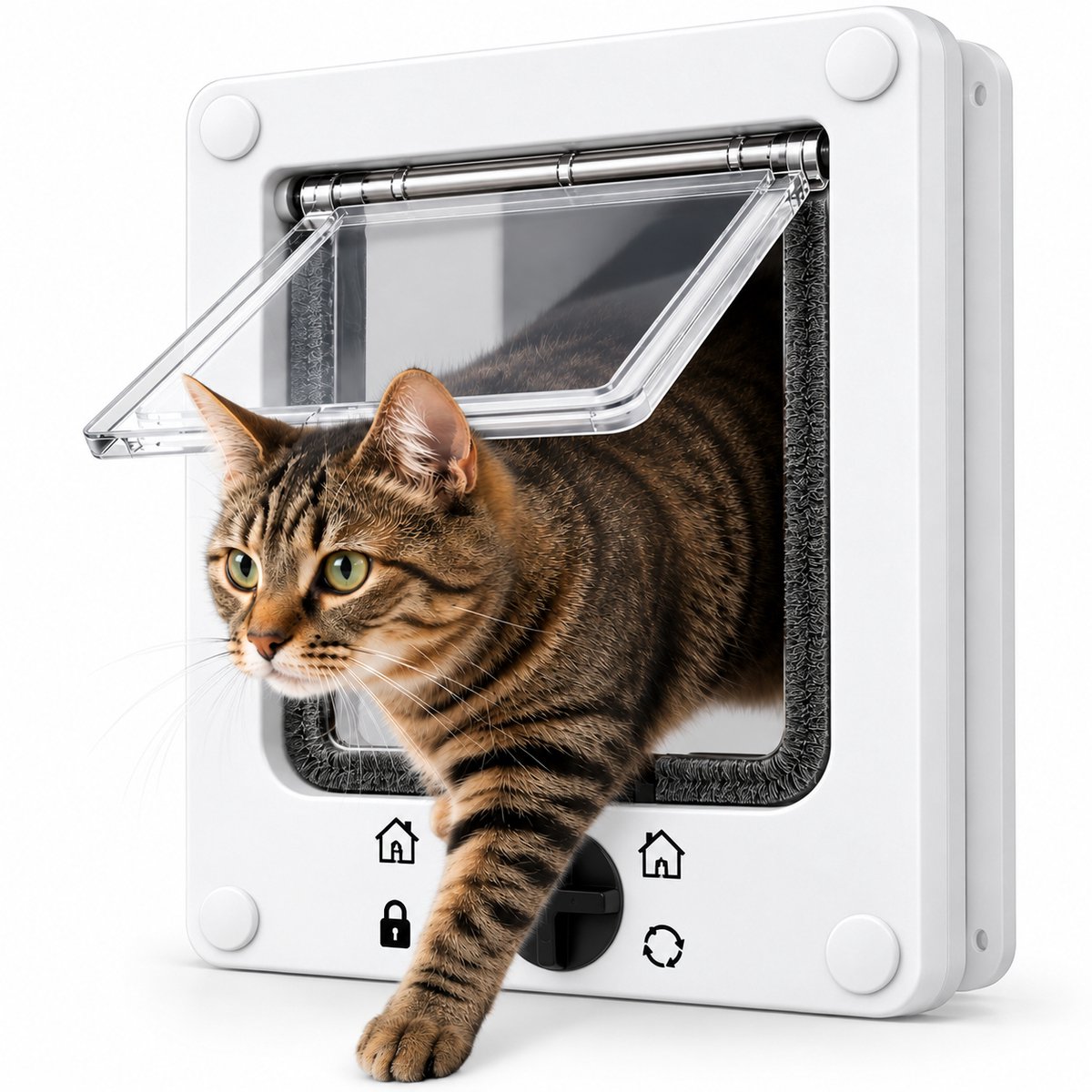 DIVERZA Kattenluik – Transparant met 4 Standen Sluitsysteem – Zachte Borstelrand & Complete Montageset – 26,5x23,5 cm – Wit