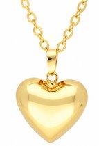 La Rosa Princesa Love Hart Bola Zwangerschapsketting BabyBel Ketting - Zwangerschapsbelletje GoudKleurig Zwanger cadeau