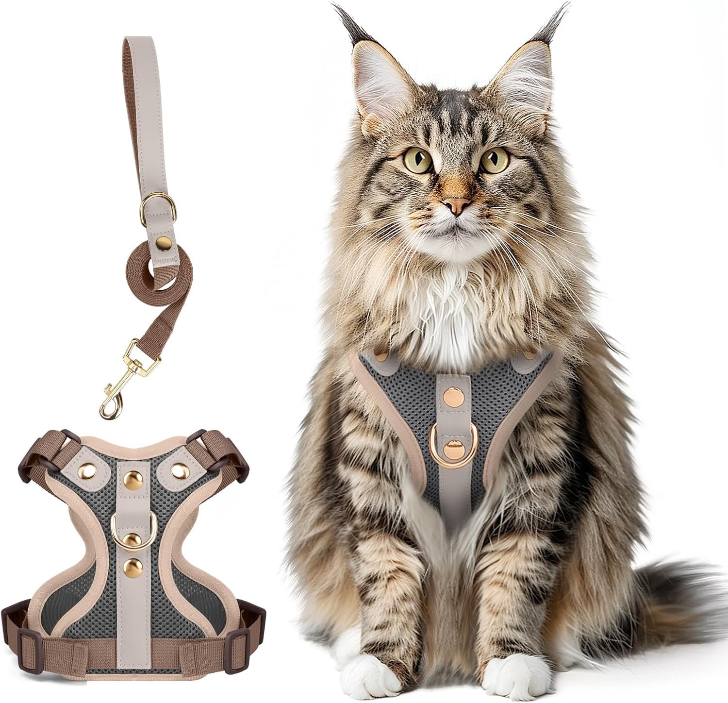 Kattenharnas met lijn, lederen vest, donkergrijs, M