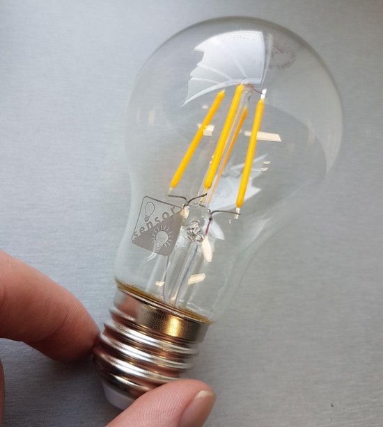 En team Strikt Weinig Lybardo Sensor lamp LED E27 Filament 4.2W 2100K Extra Warm 350 lumen |  bol.com