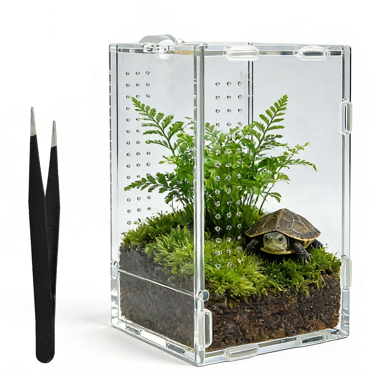 Acryl Terrarium voor Insecten en Kleine Dieren, 20x12x12 cm