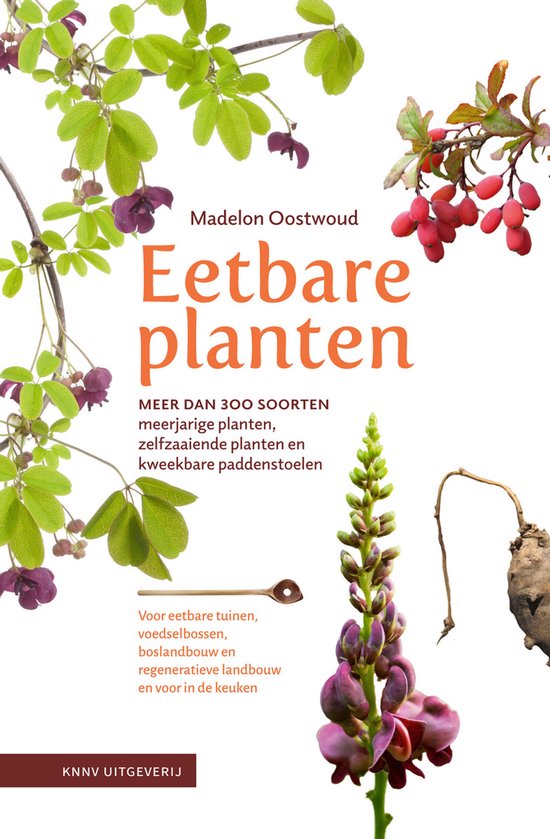 Boekomslag Eetbare planten van Madelon Oostwoud met illustraties van bessen, bloemen en een houten lepel.