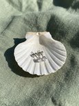 Zilverkleurige zirkonia oorknopjes rustend in een witte schelp op een groene achtergrond.