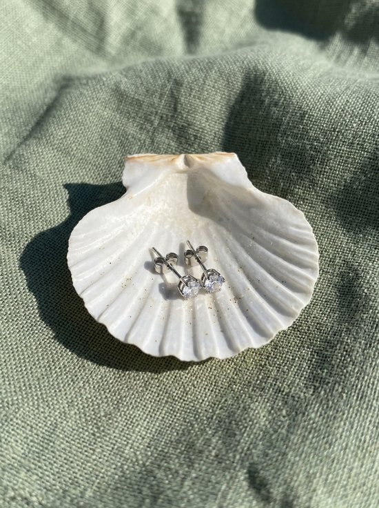 Zilverkleurige zirkonia oorknopjes rustend in een witte schelp op een groene achtergrond.