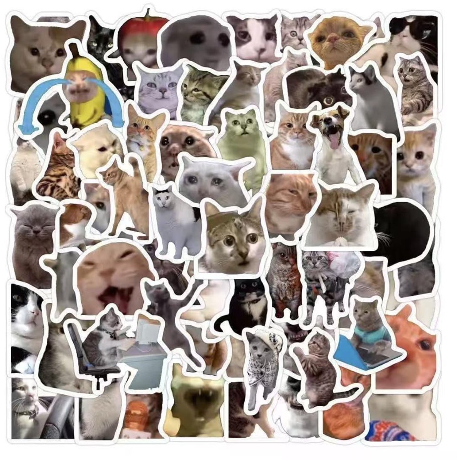 Kattenmeme-Stickers 100 Stuks - Waterdicht - Zonbestendig - Hoge Resolutie - Stickervellen - Voor Volwassenen