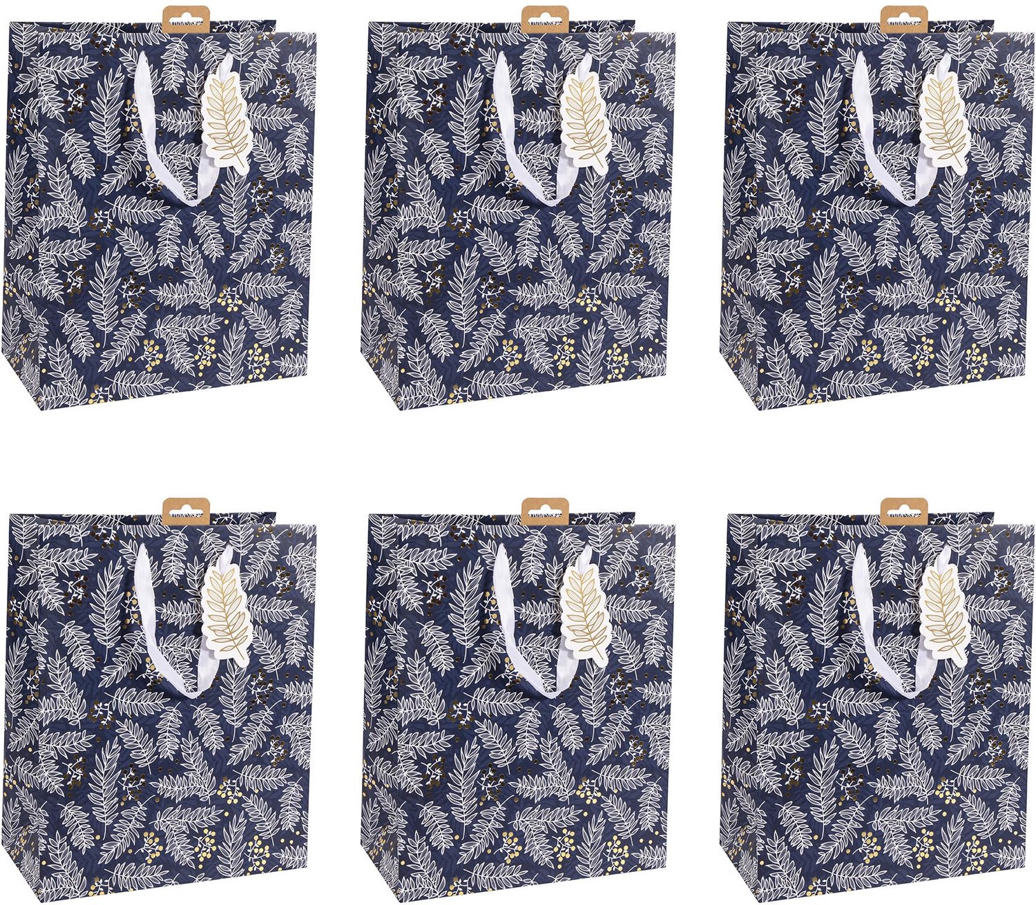 Set van 6 Grote Cadeautassen voor Diverse Gelegenheden