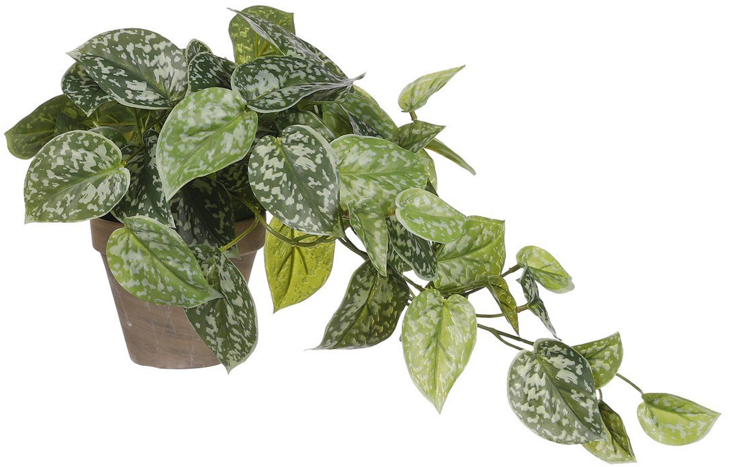 Kunstplant Scindapsus Groen