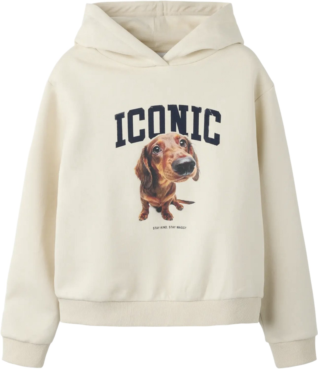 Name It - Hoodie - NKFSERA - Iconic - Birch - Maat 158/164