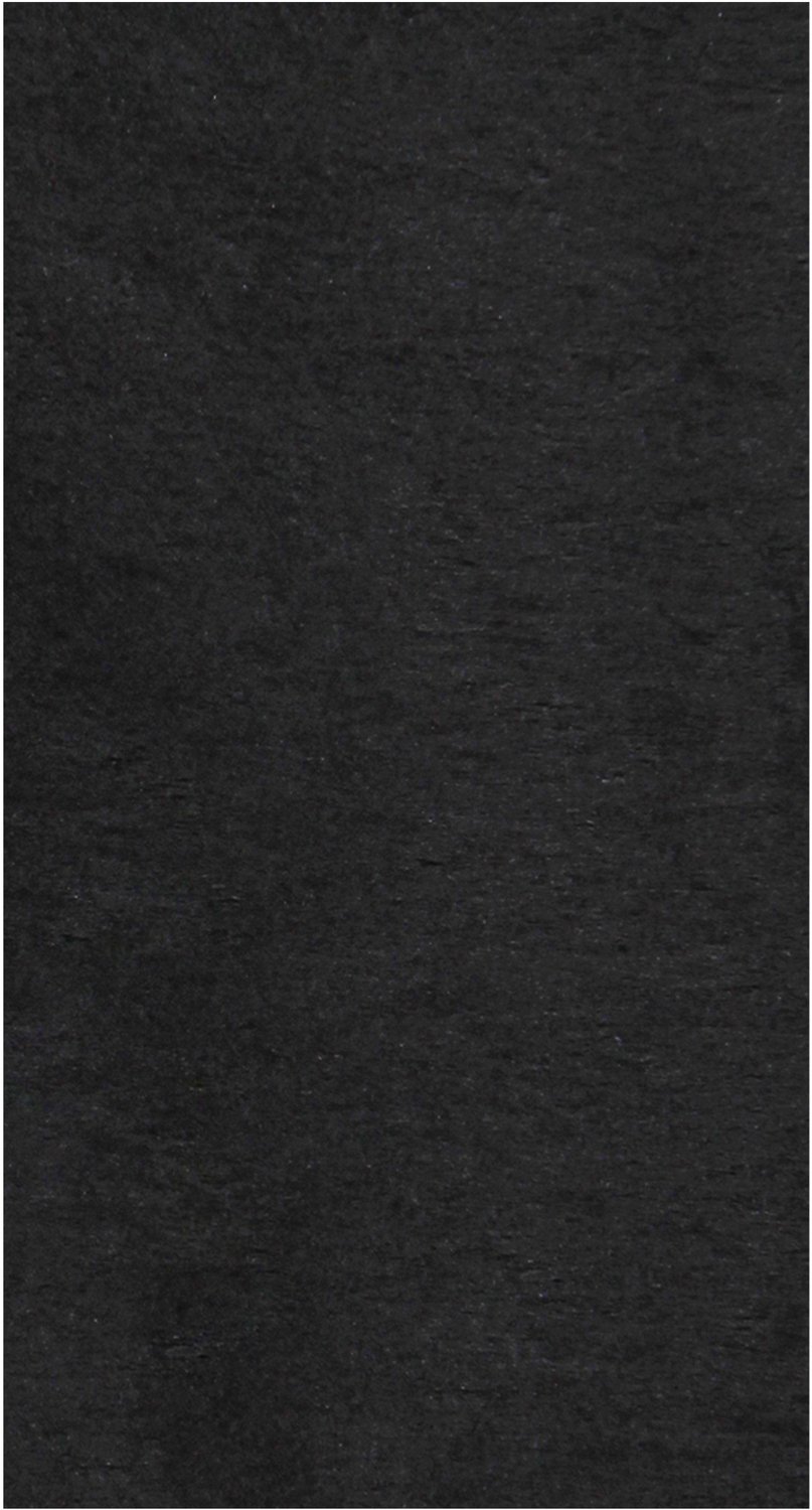SANTEX - Zwart non-woven tafelkleed 150 x 300 cm
