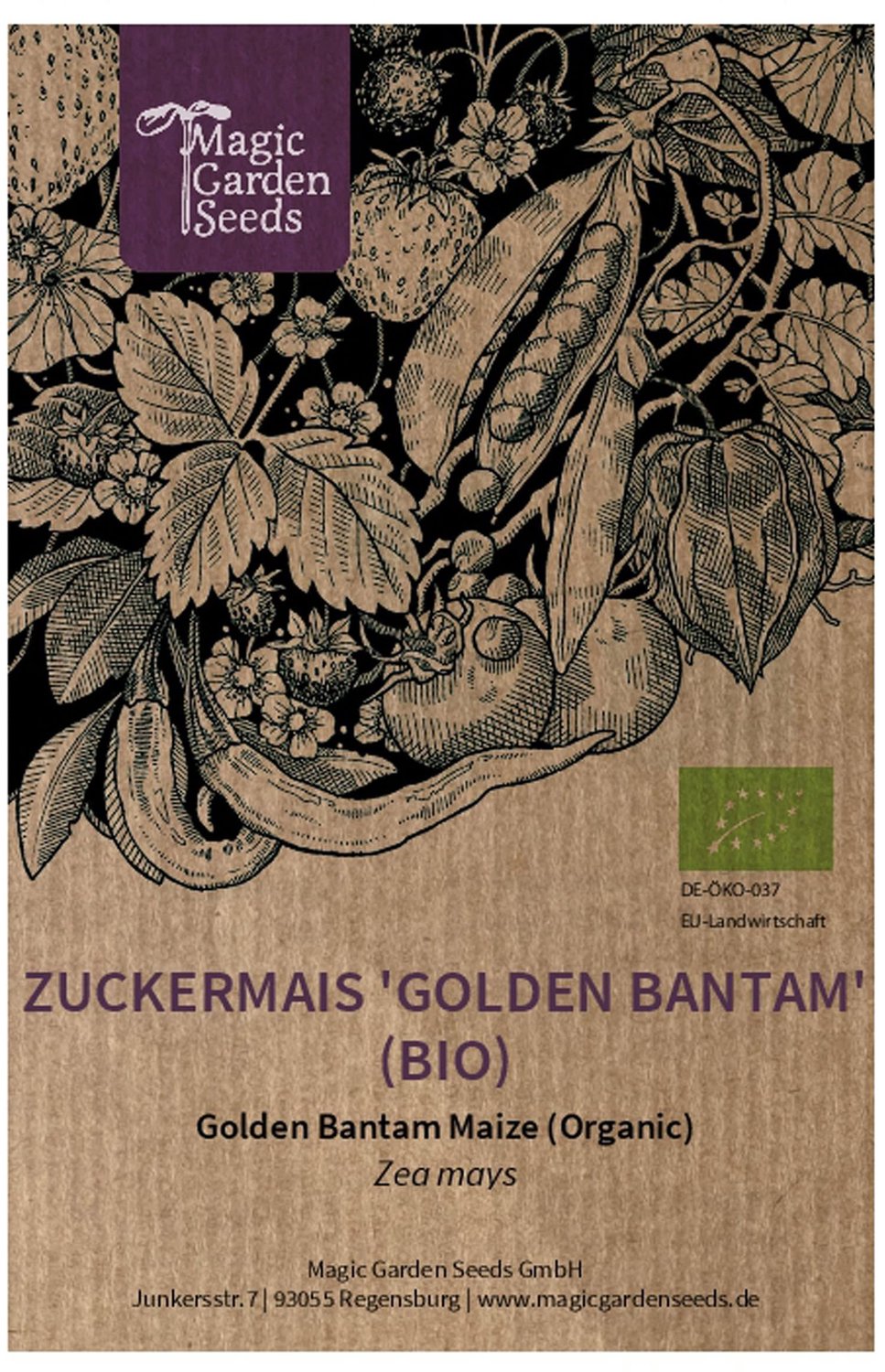 Zoete Maïs 'Golden Bantam' - Biologisch - Ong. 50 Zaden