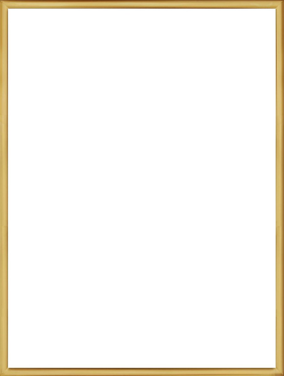 Homedecoration Almelo – Fotolijst – Fotomaat – 49 x 51 cm – Vintage Goud