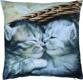 Unique Living winter sierkussen katten poezen kittens - dessin 5 - 45x45cm