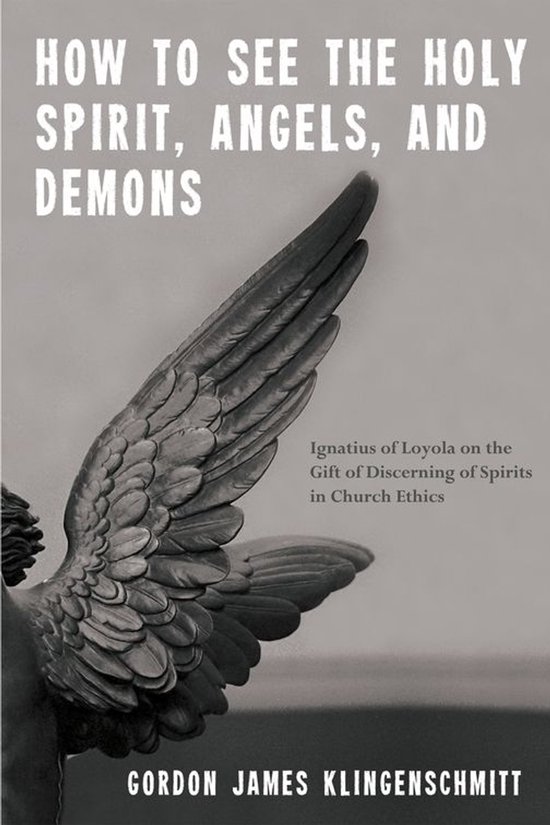 Boekomslag van "How to See the Holy Spirit, Angels, and Demons" met een afbeelding van een engelenvleugel.