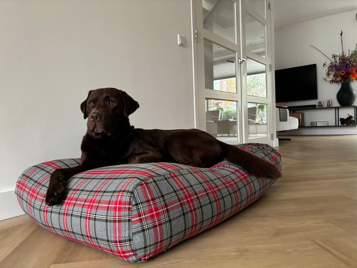 Dog's Companion Hondenkussen / Hondenbed - S - 70 x 50 cm - Scottish Grey