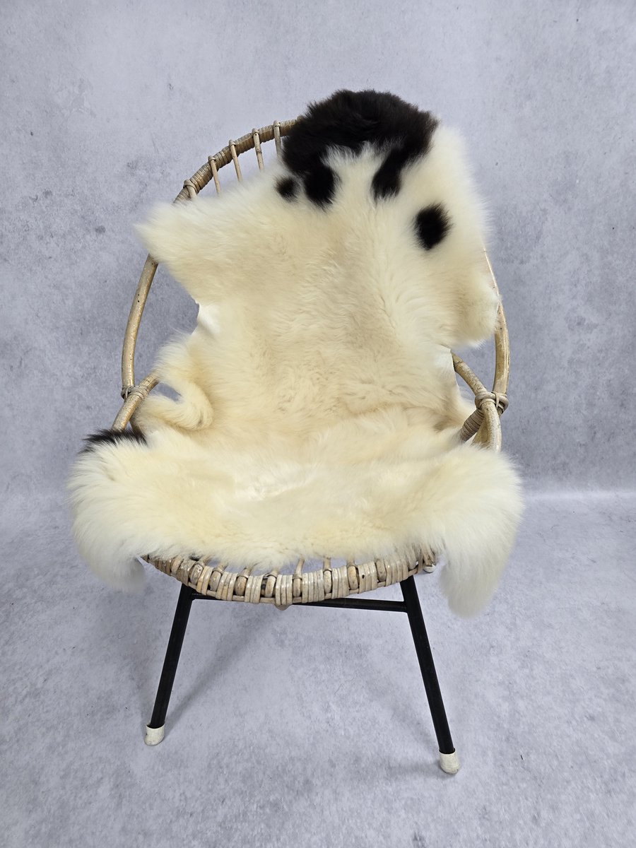 Schapenvacht Albanees – Woondecoratie – Exclusieve collectie – Crème, Beige, Bruin – 100% echt natuurlijke wollen vacht – 100x75 cm