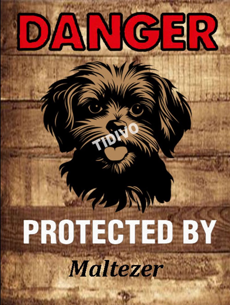 Maltezer 19