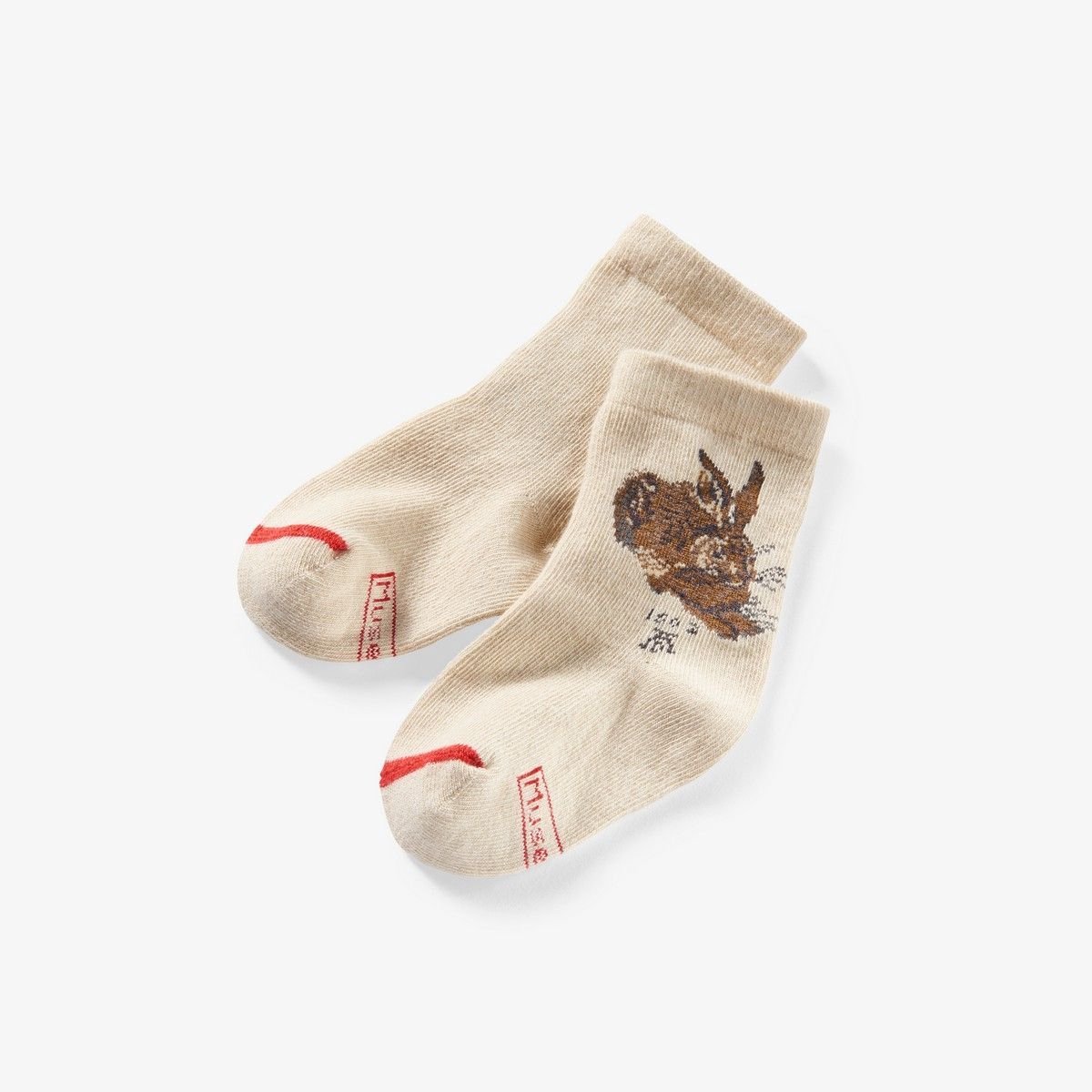 Albrecht D\u00fcrer - Young Hare 86-92